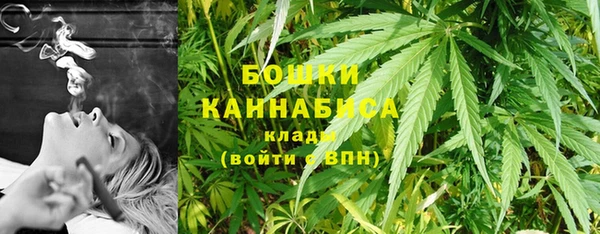 крисы Белоозёрский
