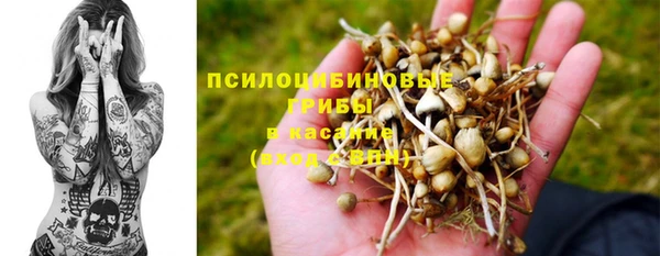 COCAINE Белокуриха